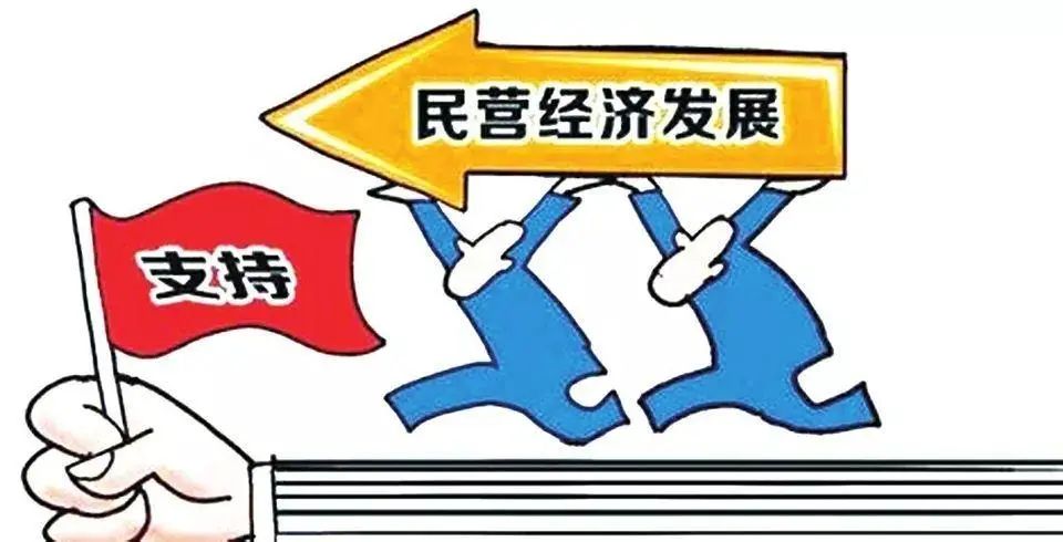 中共中央 国务院关于促进民营经济发展壮大的意见(图1)